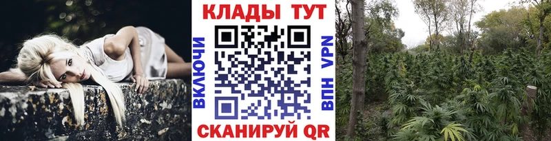 Где купить наркотики Северск мега   КОКАИН  МЕФ  АМФ  Каннабис  Alpha-PVP 