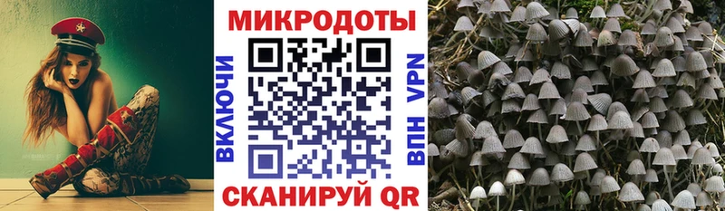 Галлюциногенные грибы мухоморы  Северск 