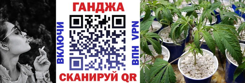 Канабис семена  цена   Северск 